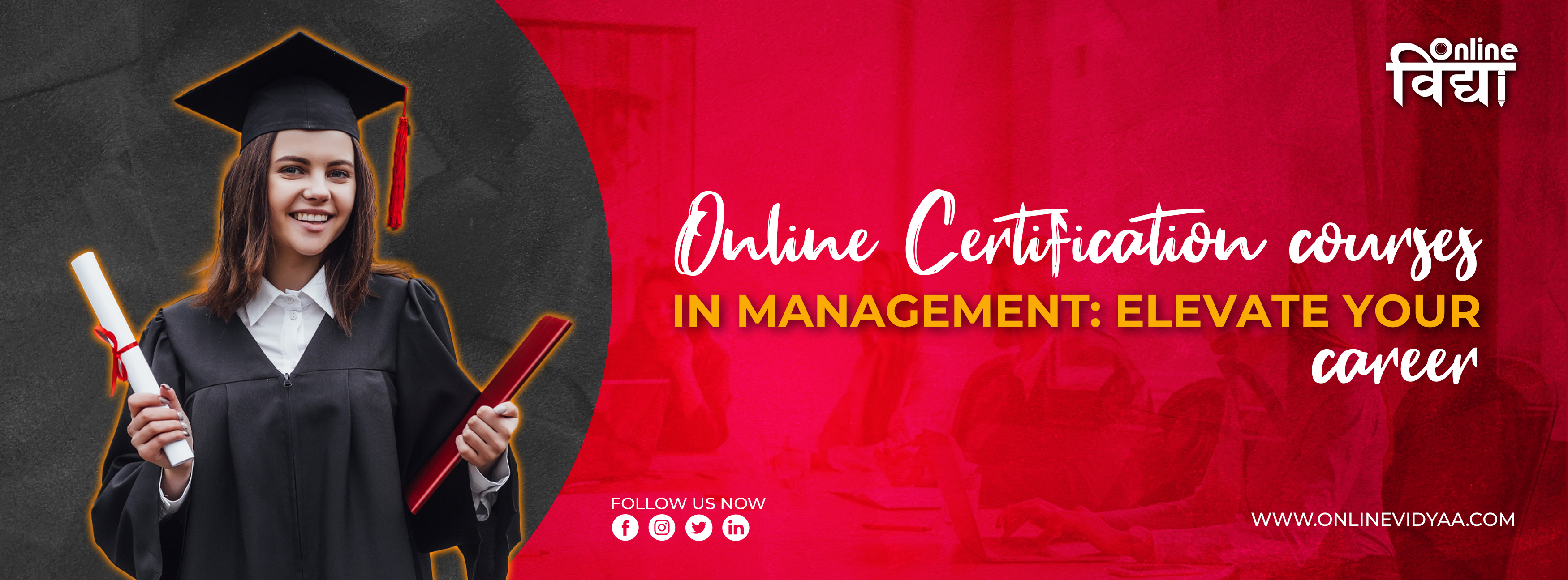 Online Certification Courses in Management: Elevate Your Career